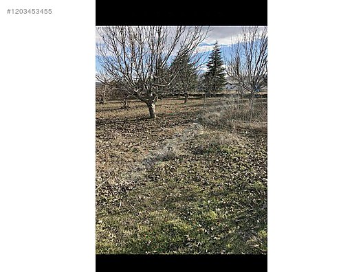 ANKARA ELMADAĞ LALABEL KÖYÜNDE 4.832 M² TARLAMIZ SATILIKTIR. - ANKARA ELMADAĞ fotoğraf 9