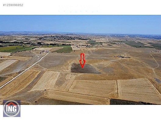 ÇİFTLİK YAPIMINA UYGUN, 2 MİLYON DÖNÜM MERAYA CEPHE ARAZİ - KIRKLARELİ MERKEZ fotoğraf 3