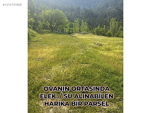 BALIKESİR DURSUNBEY AKYAYLA   KÖYÜNDE  370  M² BAĞ  SATILIKTIR - BALIKESİR DURSUNBEY fotoğraf 4