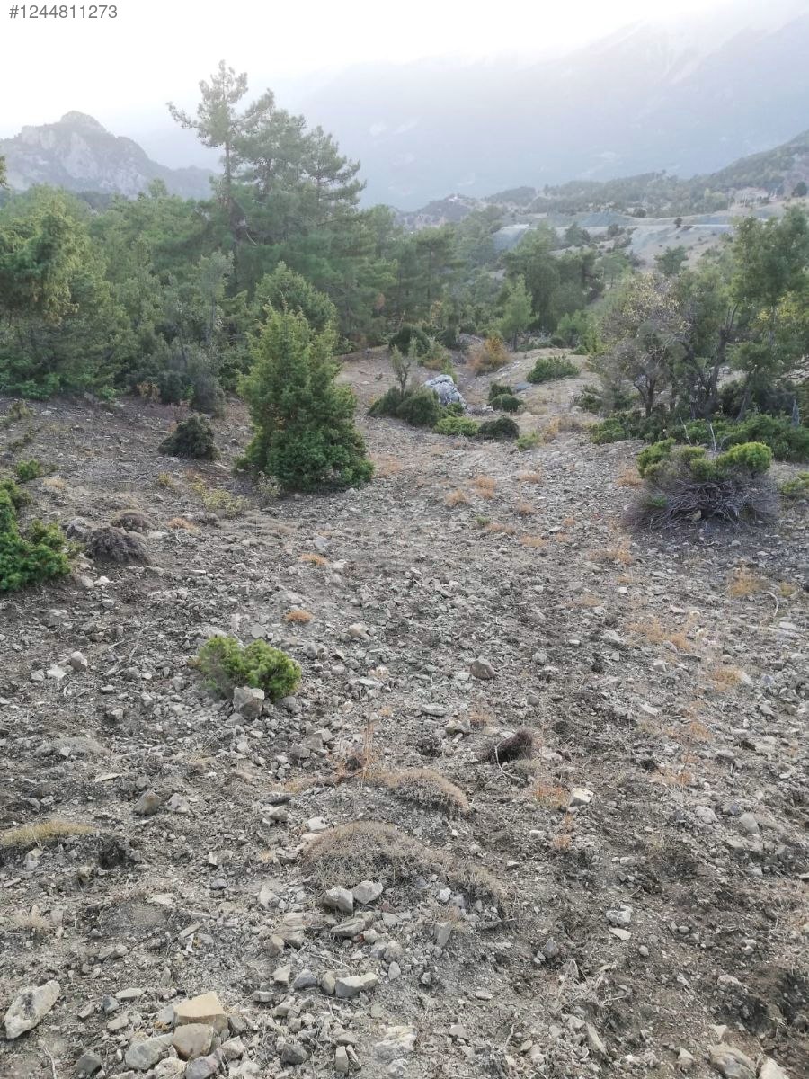 Antalya / Kumluca / Kuzca Mahallesinde 513 m² SATILIK ARSA  - ANTALYA KUMLUCA fotoğraf 7