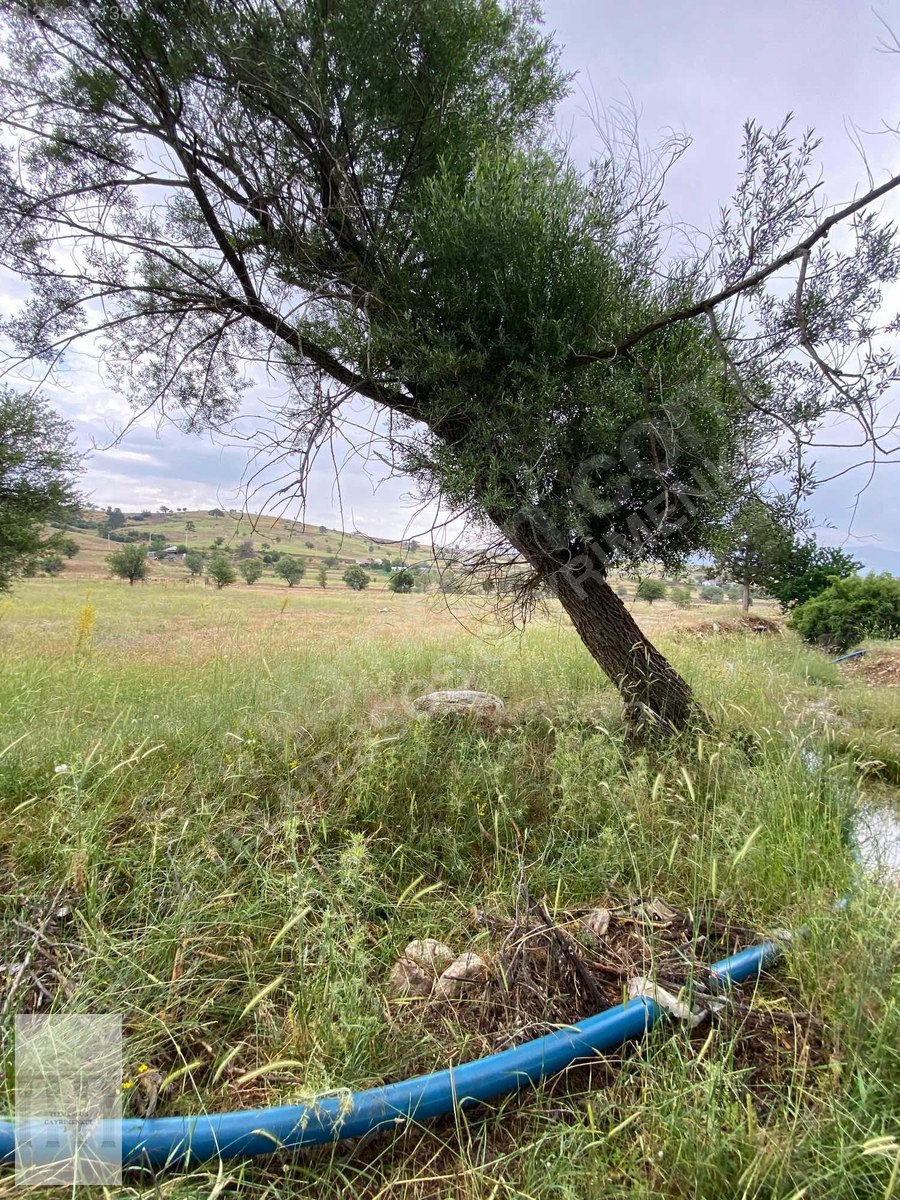 Yayla karaçulhada yatırımlık arazi - MUĞLA SEYDİKEMER fotoğraf 3