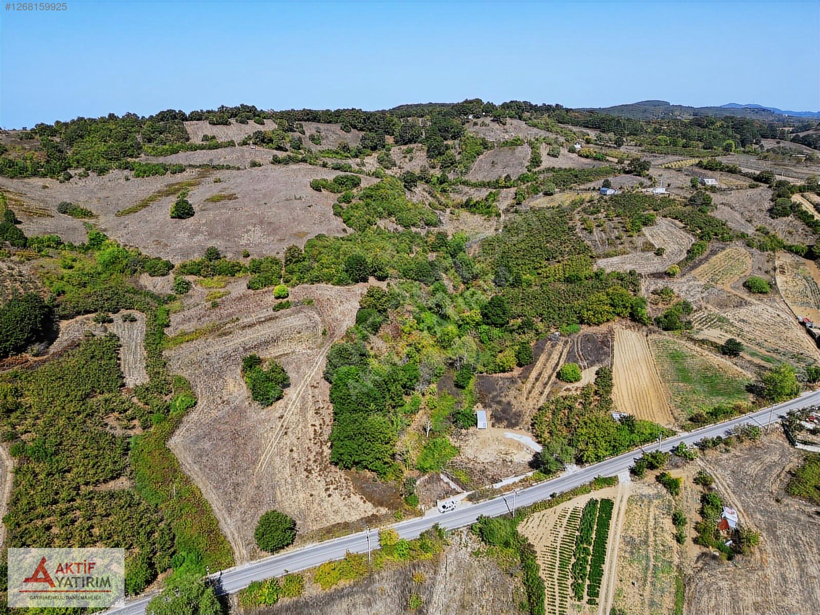 ÇALKÖY'DE SEYREK PLAJINA 5 DK MESAFEDE SATILIK 2389 M2 TARLA - KOCAELİ KANDIRA fotoğraf 8