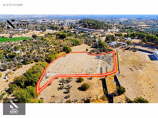 Kemalpaşa Nazarköy Satılık 9501m2 Bahçe - İZMİR KEMALPAŞA fotoğraf 15