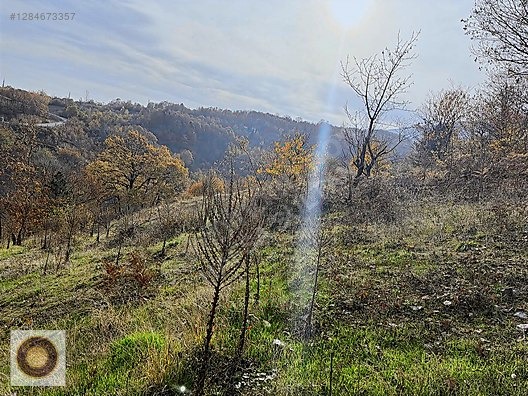 KESTEL LÜTFIYE MH SATILIK 1806M2 TARLA ASVALT YOLA CEPHE - BURSA KESTEL fotoğraf 27