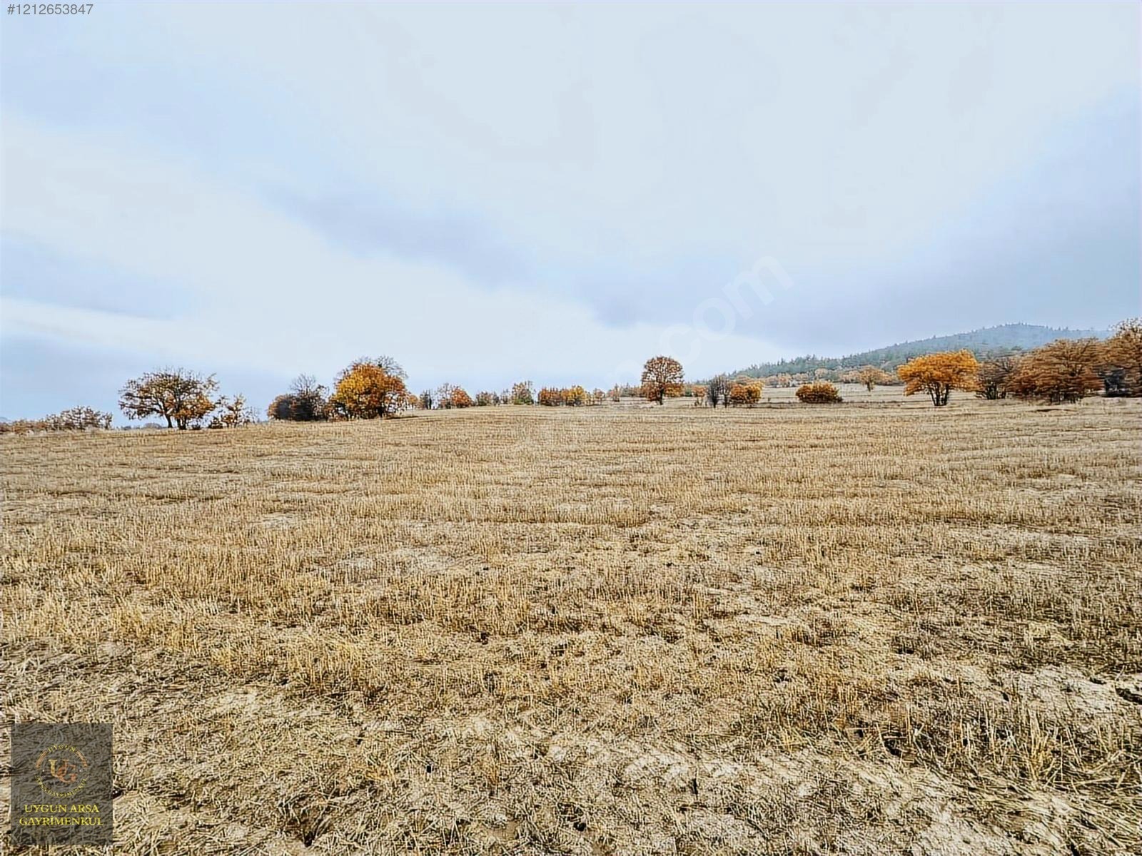 BOLU GÖYNÜK KARAARDIÇ'TA 4.921 M2 UYGUN ARSA - BOLU GÖYNÜK fotoğraf 15
