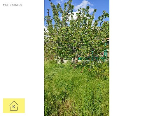 KÜTAHYA ŞAPHANE SUBAŞI'NDA SATILIK 2249m² BAHÇE - KÜTAHYA ŞAPHANE fotoğraf 3