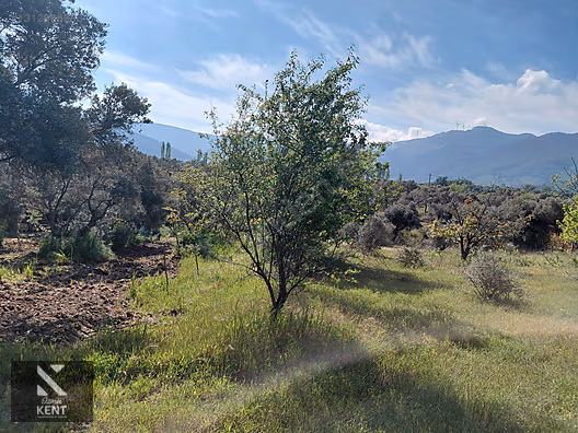 Kemalpaşa Dereköy'de Satılık 4850 m2 Bahçe - İZMİR KEMALPAŞA fotoğraf 2