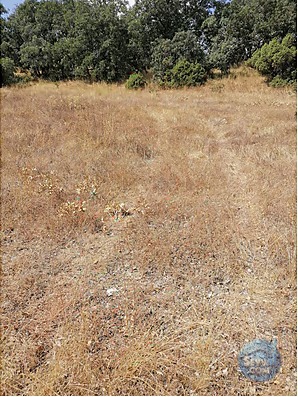 KÜTAHYA TAVŞANLI KARACAKAŞ KÖYÜN DE 3.306 M² TARLA SATILIKTIR - KÜTAHYA TAVŞANLI fotoğraf 4