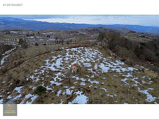 DÜZCE YIĞILCA HACILAR 'DA 2.744 M2 BAĞ EVİ OLAN FINDIK BAHÇESİ - DÜZCE YIĞILCA fotoğraf 24