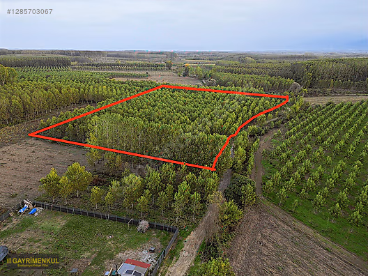 YATIRIM FIRSATI! ERENLER/ŞEYHKÖY MAH. 24.620 M² - SAKARYA ERENLER fotoğraf 37