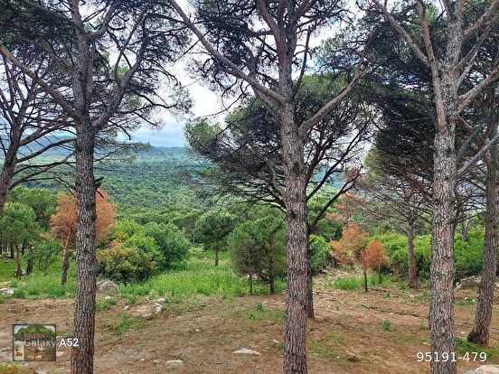 BERGAMA KOZAK YAYLASI AYVATLAR MAHALLESİNDE İKİ ADET 1350 M2 ARSA MANZARALI TANE - İZMİR BERGAMA fotoğraf 4