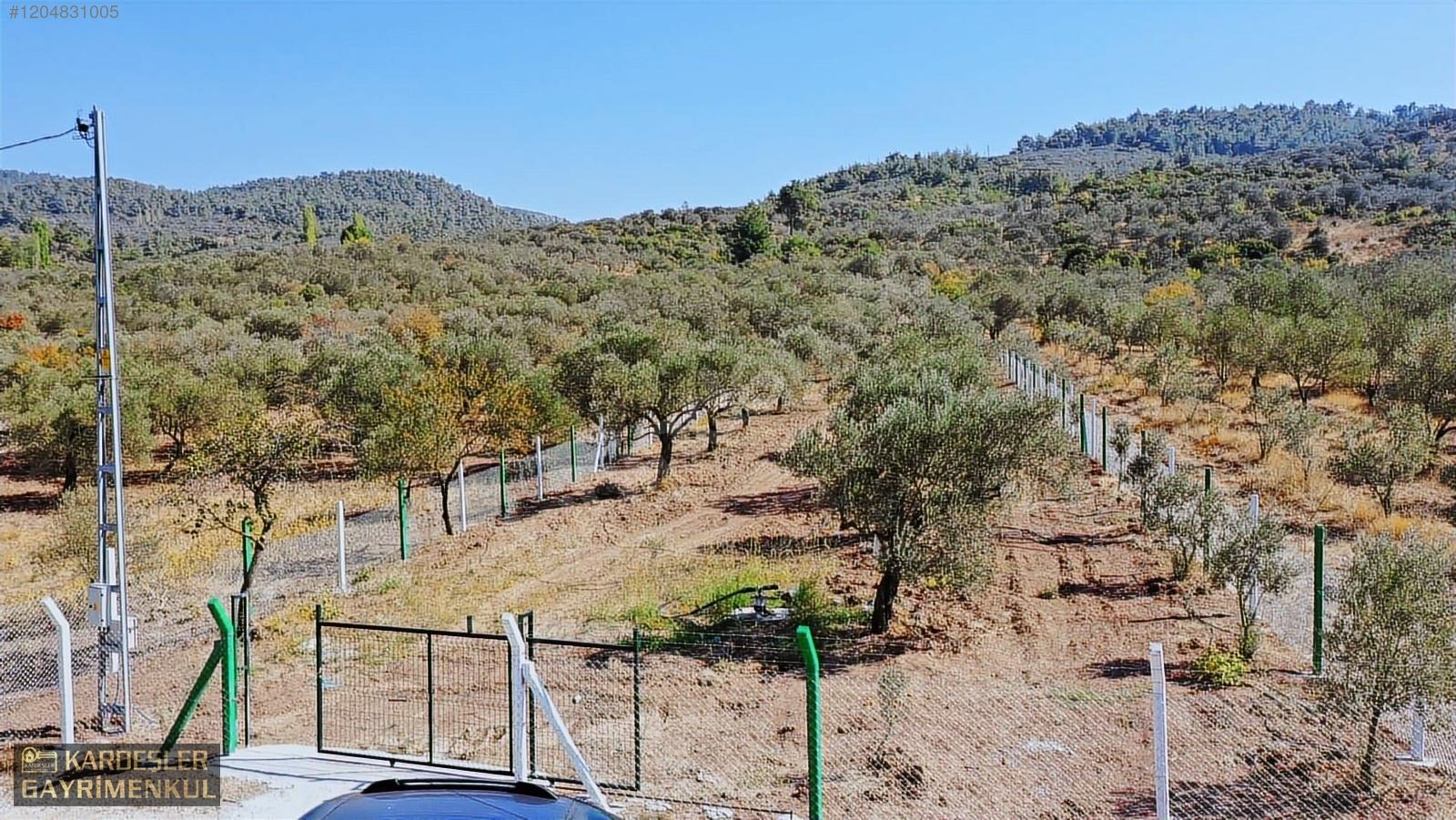 AKHİSAR YENİCEKÖYDE KARIŞIK ZEYTİN MEYVE BAHÇESİ SU ELEKTRİKLİ - MANİSA AKHİSAR fotoğraf 9