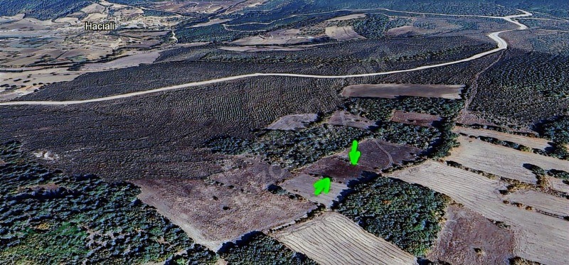 Mustafa Kemal Paşa Döllük 3.676 m2 Satılık Tarla - BURSA MUSTAFAKEMALPAŞA fotoğraf 5
