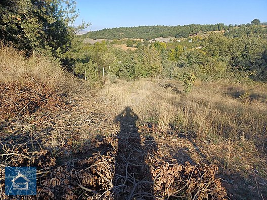 ÇAĞLAR'DAN TOPRAKDERE DE 823m2 MÜSTAKİL TARLA YOL+SU VAR - BURSA YENİŞEHİR fotoğraf 4