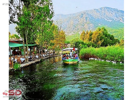 Muğla Ula Gökçe Köyü Fırsat Narenciye Bahçesi - MUĞLA ULA fotoğraf 8