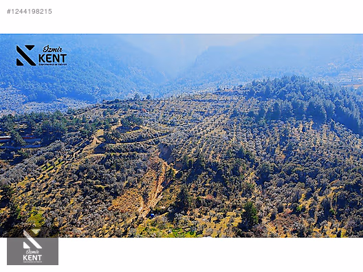 Kemalpaşa Yukarıkızılca Satılık 335 m2 Bahçe - İZMİR KEMALPAŞA fotoğraf 28