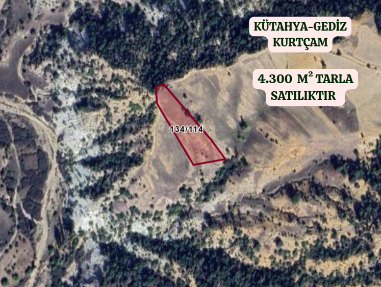 KÜTAHYA GEDİZ KURTÇAM  KÖYÜNDE  4.300   M²  TARLA  SATILIKTIR - KÜTAHYA GEDİZ fotoğraf 2