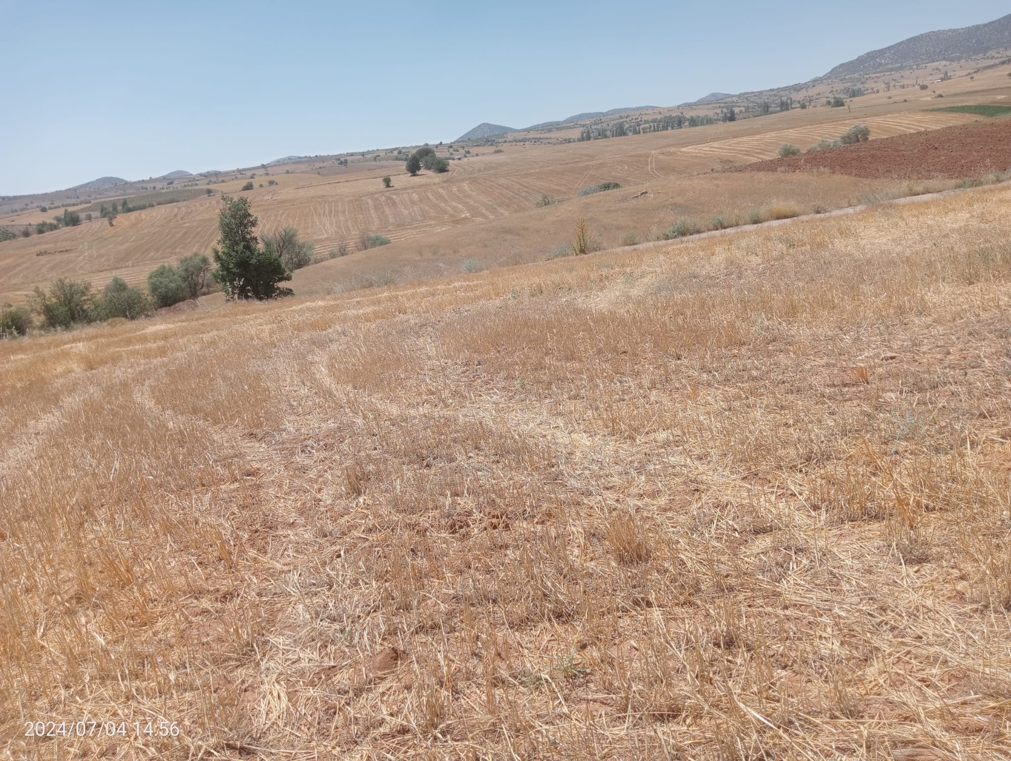    KARAMAN MERKEZ MURATDEDE  KÖYÜNDE 2.927  M²  TARLA  SATILIKTIR - KARAMAN MERKEZ fotoğraf 15