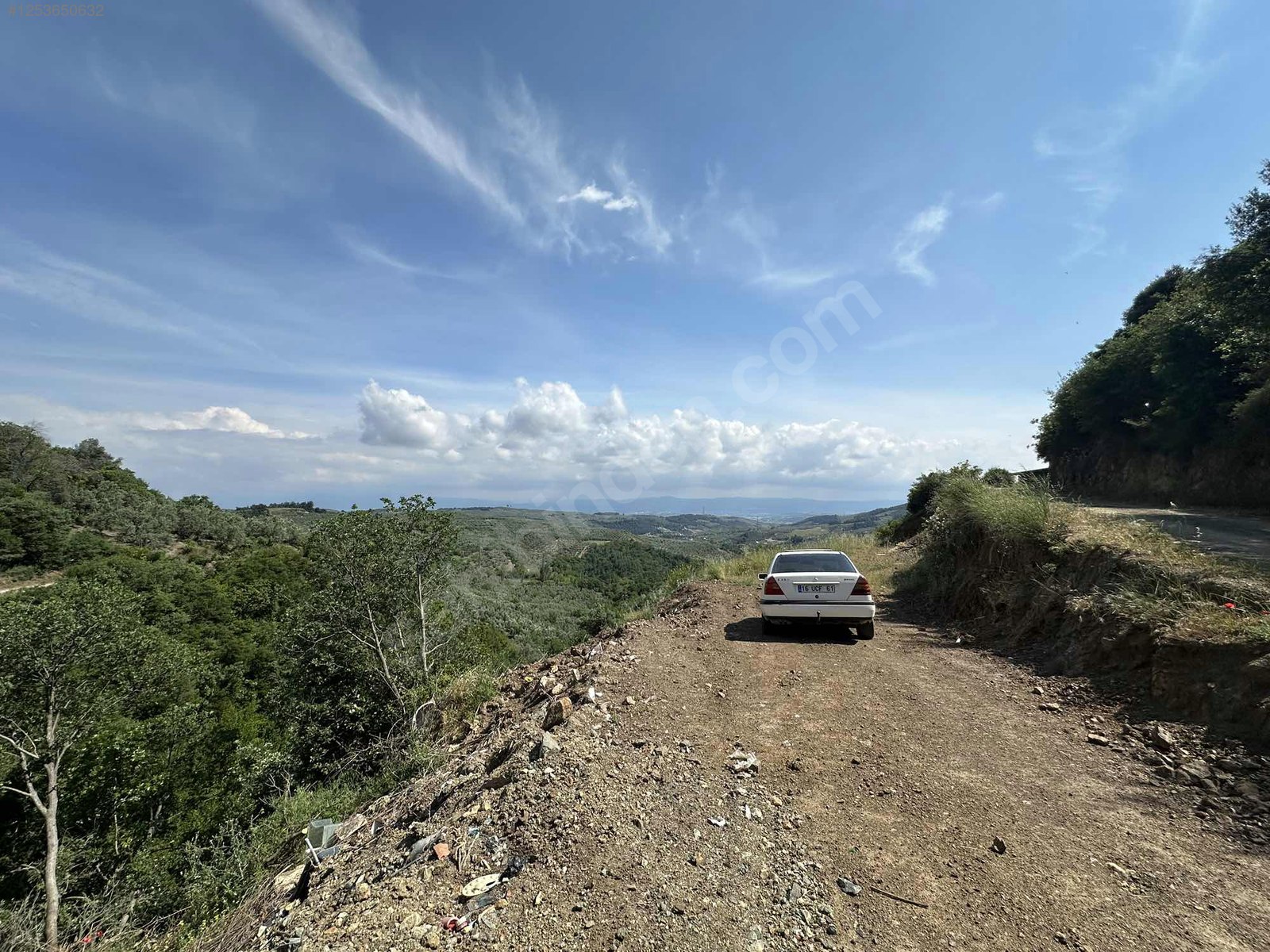 BURSA MUDANYA MİRZAOBA KÖYÜNDE 998 M²  ZEYTİNLİK SATILIKTIR - BURSA MUDANYA fotoğraf 12