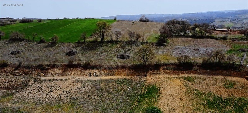 KOZLUCA KARAPINARDA SATILIK 6.400 TARLA - BURSA İNEGÖL fotoğraf 5
