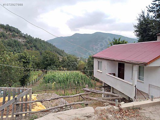 1500 m2 arsalı müstakil ev + 3200 m2 fındık bahçesi - ARTVİN BORÇKA fotoğraf 8