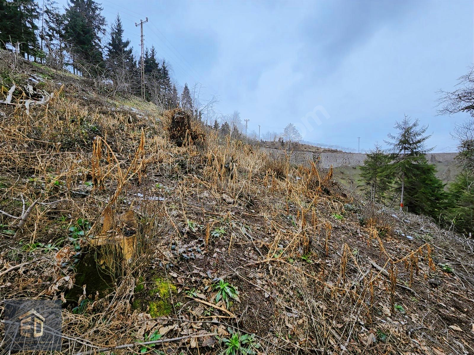 E&D GYO'DAN TRABZON KAVALA'DA SATILIK 1050 M² MANZARALI ARSA - TRABZON ORTAHİSAR fotoğraf 10