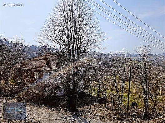 DAİRE FİYATINA BİNA VE ARSA - BARTIN MERKEZ fotoğraf 8