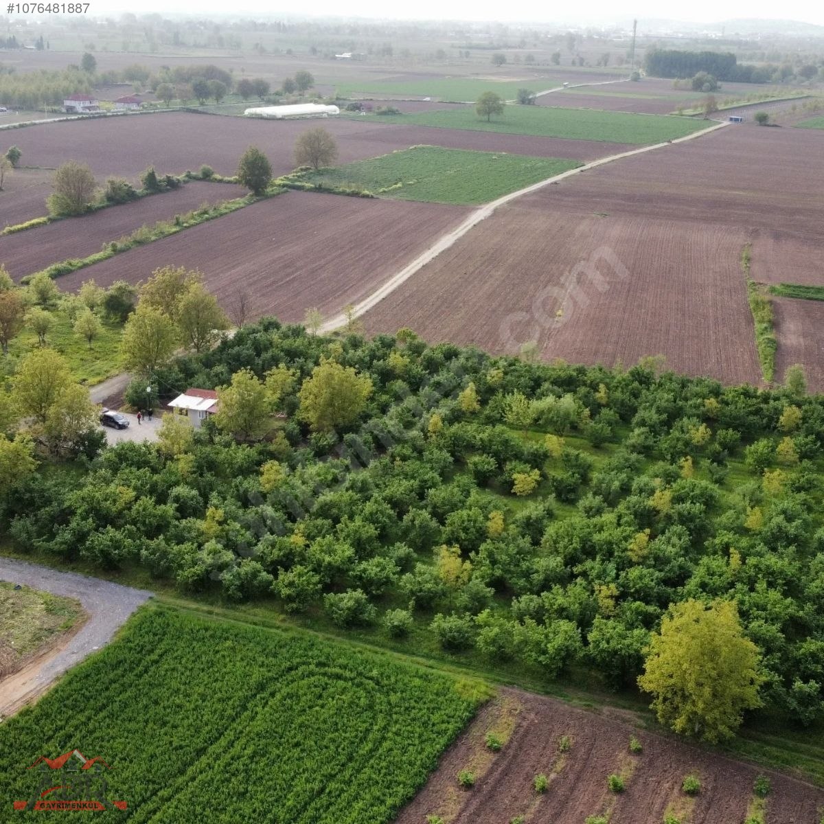 SAKARYA ARİFİYE KEMALİYE KÖYÜNDE 10866M2SATILIK.yıl sonuna kadar - SAKARYA ARİFİYE fotoğraf 14