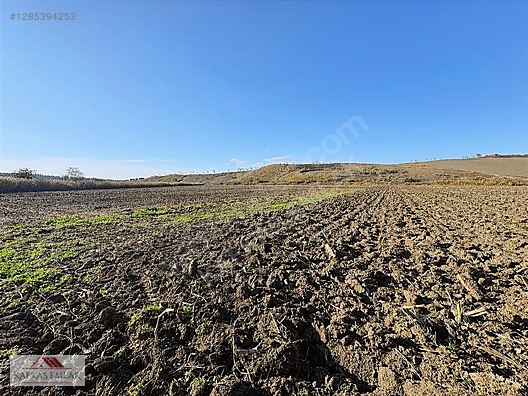 OVAAZATLI 930 M2 TARLA - BURSA MUSTAFAKEMALPAŞA fotoğraf 11