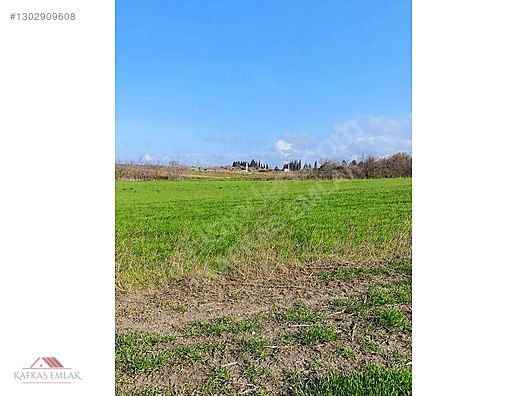 BOĞAZKÖYDE İMAR SINIRINDA 17.700M2 TARLA - BURSA MUSTAFAKEMALPAŞA fotoğraf 2