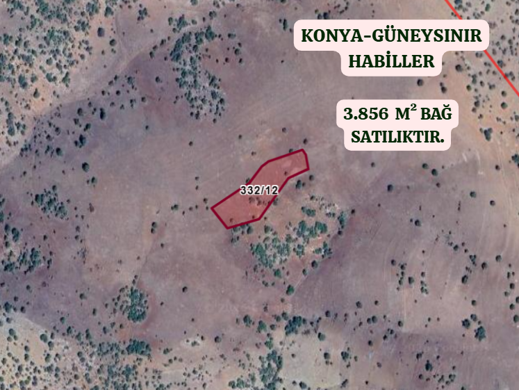 KONYA GÜNEYSINIR HABİLLER  KÖYÜNDE 3.856  M²  BAĞ  SATILIKTIR - KONYA GÜNEYSINIR fotoğraf 2