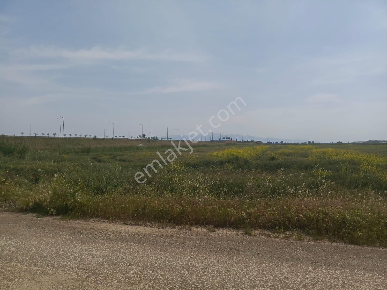 Çiğli Sasalı Ve Kaklıç Bölgesinde, 16 Dönüm Büyüklüğünde Satılık/kiralık Tarla. - İZMİR ÇİĞLİ fotoğraf 5
