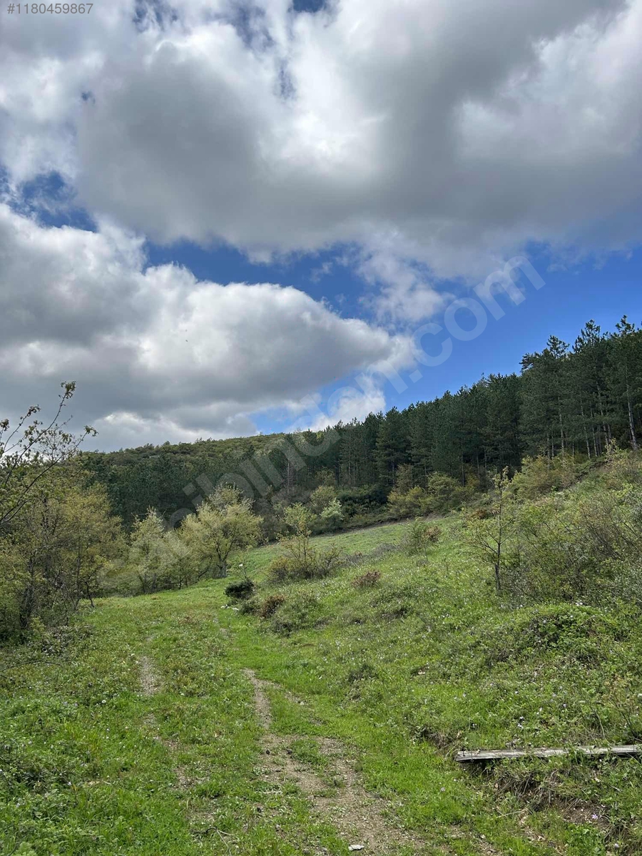 BURSA İZNİK GÜRMÜZLÜ  KÖYÜNDE 3.300 M² TARLA SATILIKTIR - BURSA İZNİK fotoğraf 3