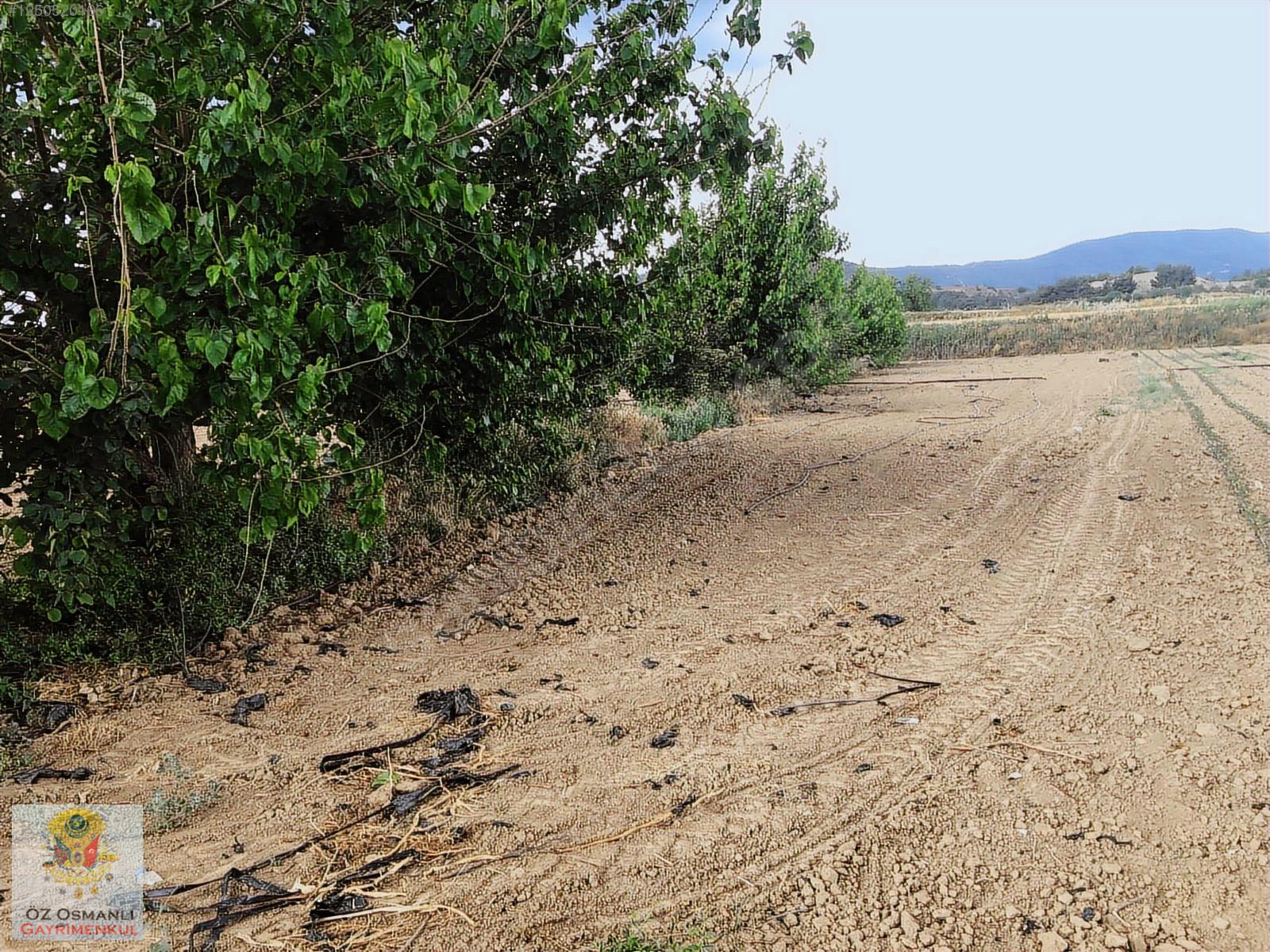 600 M2 NEHİR KENARI RESMİ YOLU OLAN MERKEZE YAKIN TARLA - BİLECİK OSMANELİ fotoğraf 8