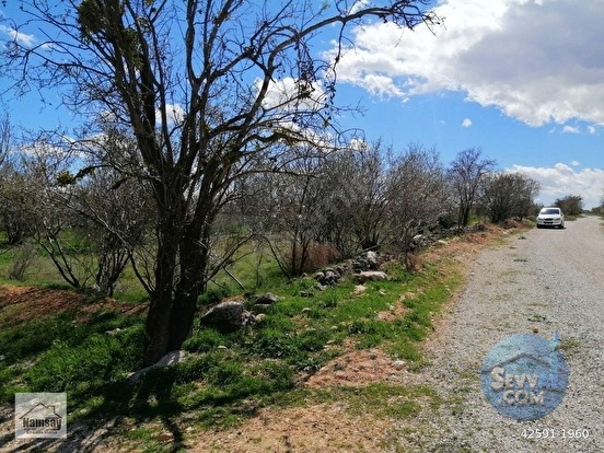 Çevreyoluna Çok Yakın 5 Dönüm Bahçe, 2 tarafı da yol - ANTALYA KORKUTELİ fotoğraf 17