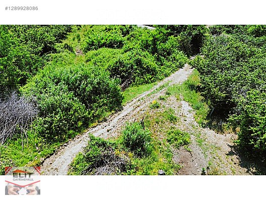 SAKARYA KARASU'DA SATILIK FRSAT KÖY İÇİNDE 635 metre² KUPON ARSA - SAKARYA KARASU fotoğraf 21