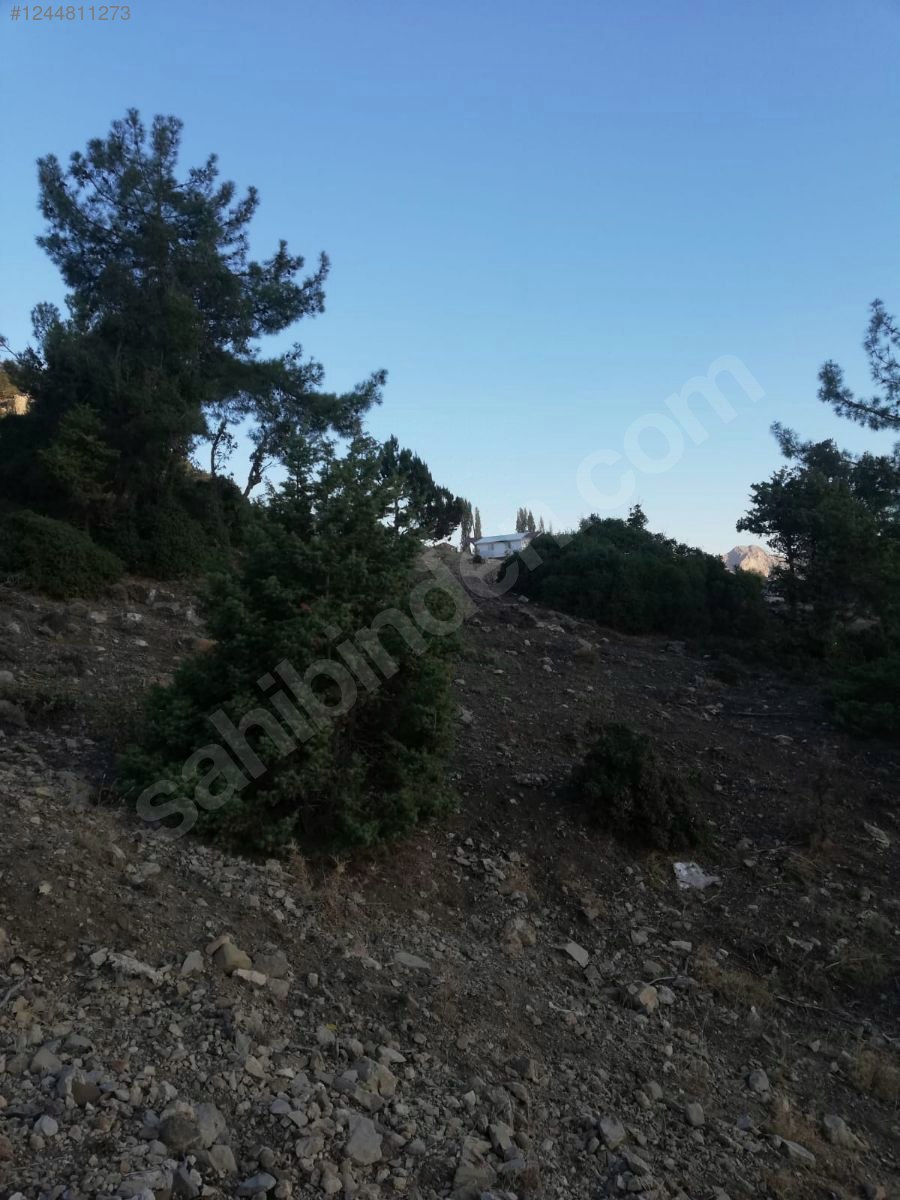 Antalya / Kumluca / Kuzca Mahallesinde 513 m² SATILIK ARSA  - ANTALYA KUMLUCA fotoğraf 4
