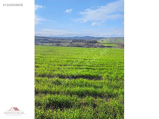 BOĞAZKÖYDE İMAR SINIRINDA 17.700M2 TARLA - BURSA MUSTAFAKEMALPAŞA fotoğraf 6