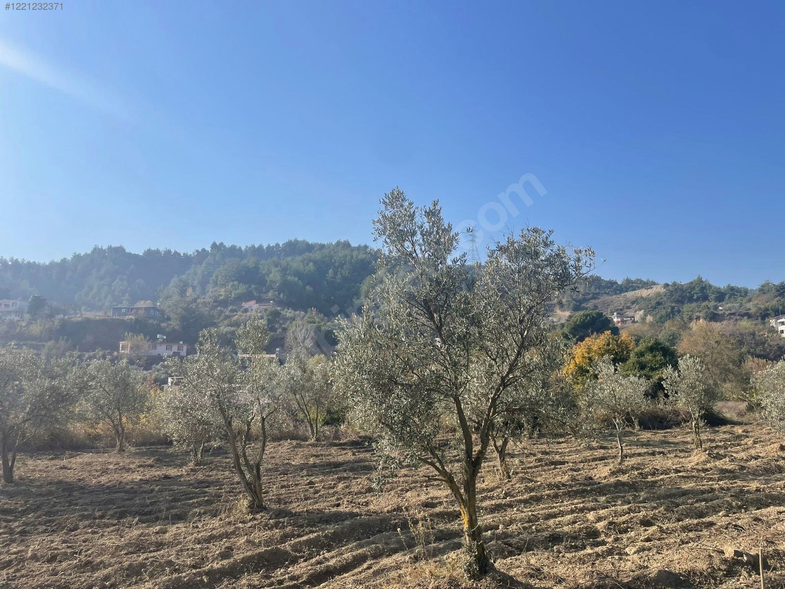 Kisecik Merkezde, Arkasında,Solunda Evler Olan Bahçe Satılık  1.782 m²  - HATAY ANTAKYA fotoğraf 7