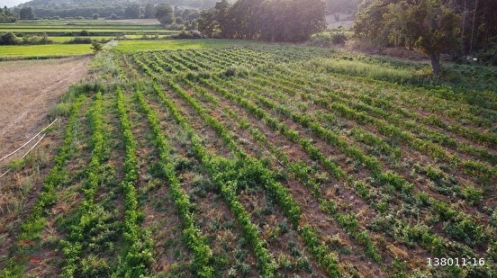 Balıkesir/Gönen'in Doğa İle İç İçe Köyünde 9.050 m² ve 7.260 m² Sulu(Pompaj) Tar - BALIKESİR GÖNEN fotoğraf 4