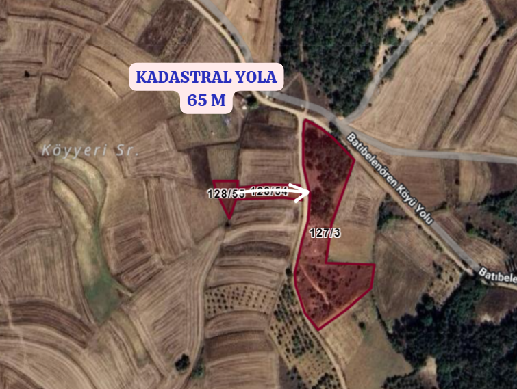 BİLECİK YENİPAZAR BATIBELENÖREN  KÖYÜNDE 648 M² TARLA  SATILIKTIR - BİLECİK YENİPAZAR fotoğraf 3