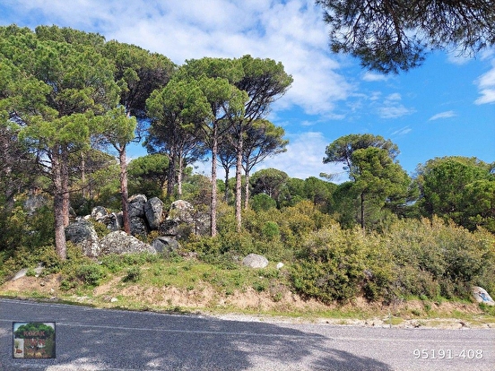KOZAK HİSARKÖY MAH DE AYVALIK BERGAMA ANA ASFALTI KENARI 9100 M2 FISTIKLIKKOZAK  - İZMİR BERGAMA fotoğraf 3