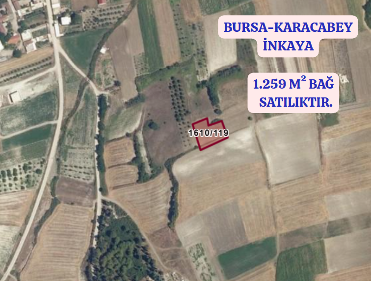 BURSA KARACABEY İNKAYA KÖYÜNDE 1.259 M²  BAĞ SATILIKTIR - BURSA KARACABEY fotoğraf 2
