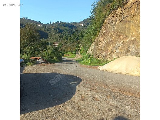 TİREBOLU YALÇ KÖTÜNDE SATILIK İÇİNDE EV OLAN FINDIK BAHÇESİ - GİRESUN TİREBOLU fotoğraf 9