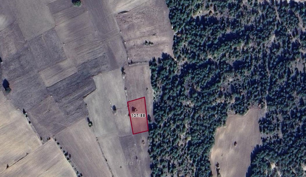KÜTAHYA ASLANAPA ASLIHANLAR KÖYÜNDE 1.392 M² TARLA SATILIKTIR. - KÜTAHYA ASLANAPA fotoğraf 5