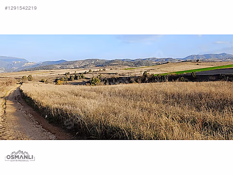 7.480 M2, RESMİ YOLA CEPHELİ, MANZARALI, %5 İMARLI SATILIK ARAZİ - BİLECİK SÖĞÜT fotoğraf 10