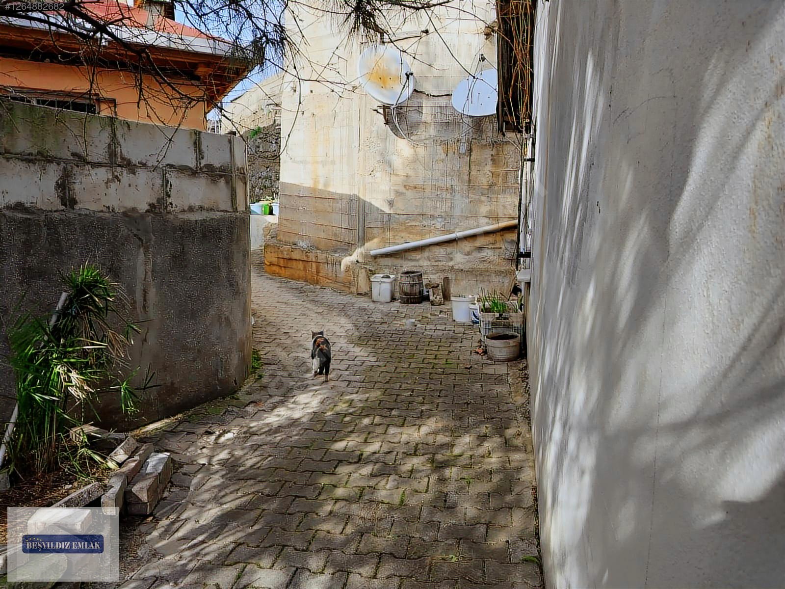 PAŞABAHÇE KARAGÖZSIRTINDA İKİ ADET OTURULABİLİR MÜSTAKİL EV - İSTANBUL BEYKOZ fotoğraf 12