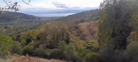 YALOVA ARMUTLU KARŞIYAKA KÖYÜ’NDE 991 M²  BAHÇE SATILIKTIR - YALOVA ARMUTLU fotoğraf 3