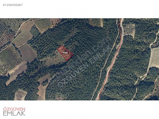 Geyve Umurbey'de 2141 m2 Eşsiz Fiyat - SAKARYA GEYVE fotoğraf 9