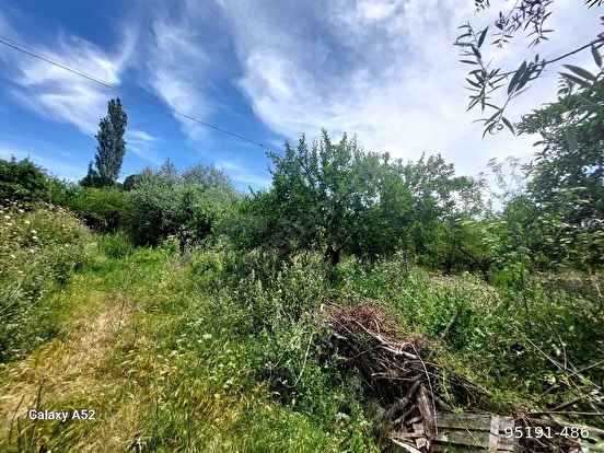 İZMİR BERGAMA KOZAK YAYLASI ÇAMAVLU MAH DE 300 M2 230 M2 YANYANA İKİ ADET ARSA - İZMİR BERGAMA fotoğraf 5